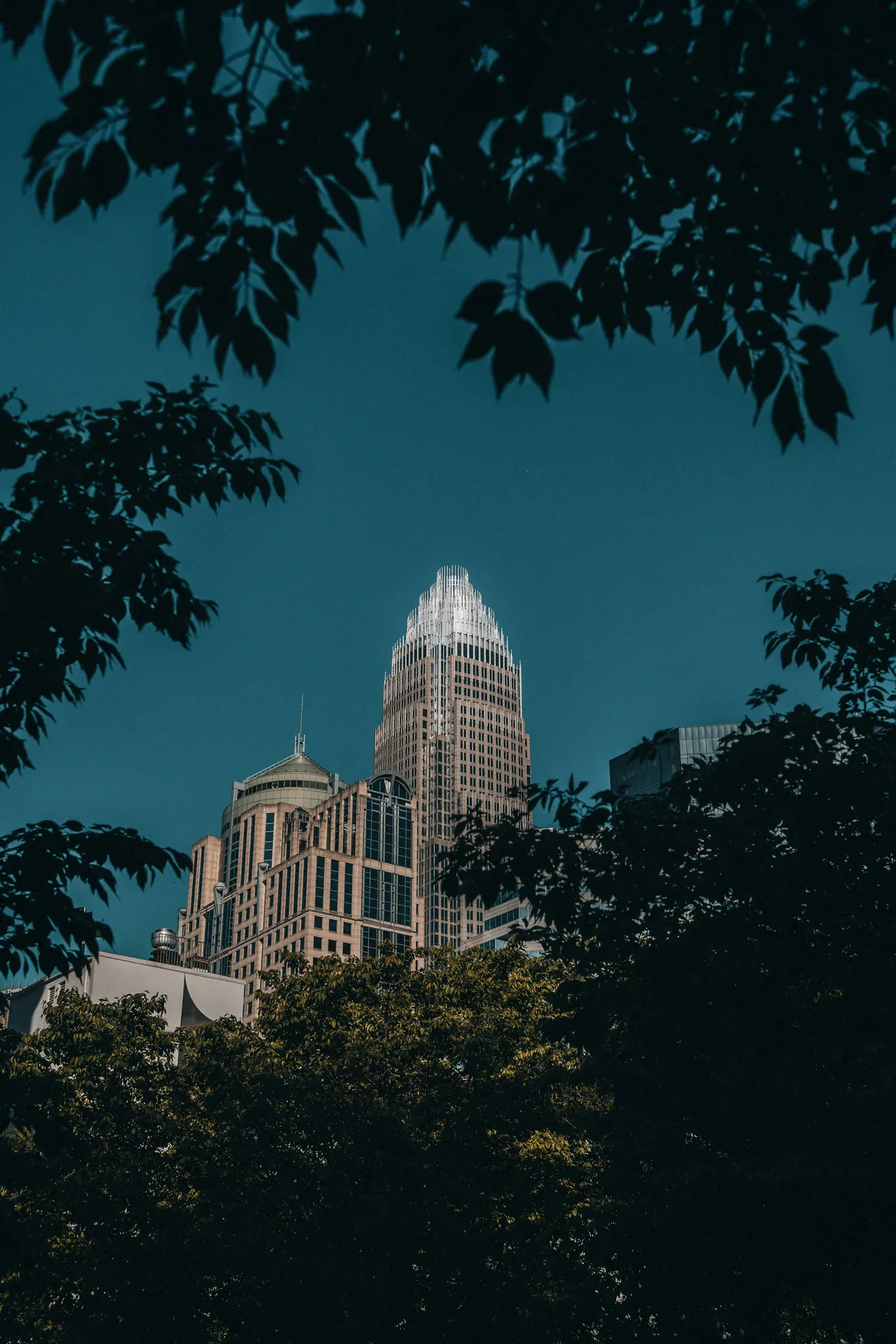 The Uptown Charlotte skyline at dusk